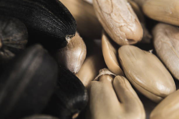 Sunflower seeds in  macro. Food photo with texture closeup.
