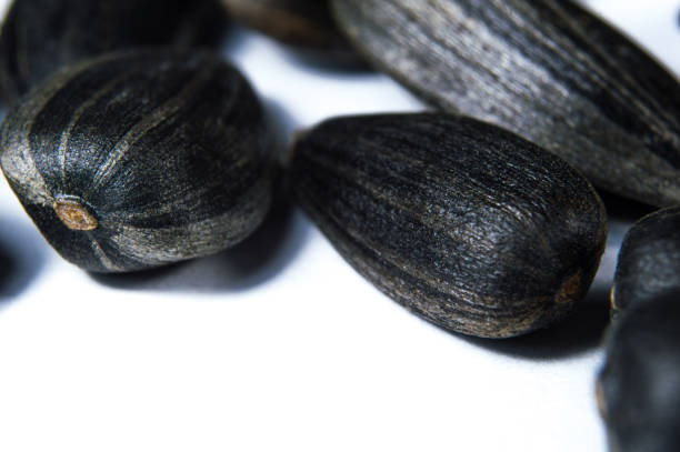 istock Sunflower seeds in  macro on white background 1644489776