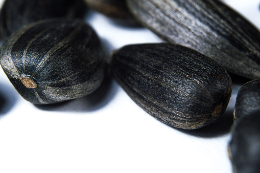 Black sunflower seeds in  macro isolated on white background. Food photo with texture closeup.