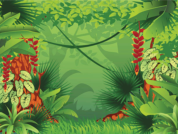 ilustrações de stock, clip art, desenhos animados e ícones de floresta tropical exótica - fern forest ivy leaf