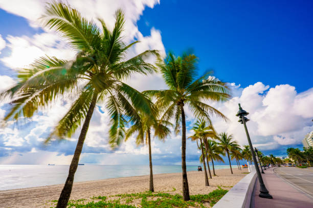 istock Palms on Fort Lauderdale Beach Summer 2023 1644506756