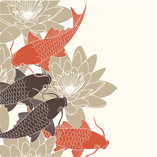 illustrations, cliparts, dessins animés et icônes de fond chinois - lotus single flower water lily water