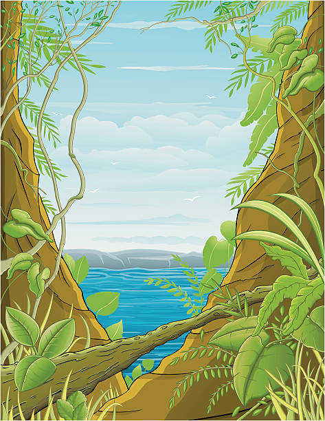 Jungle / Tropical Forest "Tropical forest with a view of a river. This tropical forAAt, all close to a riverAAre, has an abundant vgtation at the foot of its gigantic trees." jungle leaf pattern stock illustrations