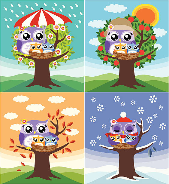 owls семья сидит на дерево 4 сезона - owl young animal bird mother stock illustrations