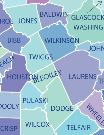 Georgia Map with Counties and Activities & Community Assistance Icons