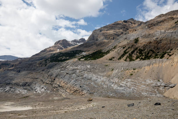 150+ Saskatchewan Glacier Photos Stock Photos, Pictures & RoyaltyFree