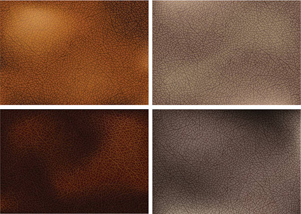Realistic leather textures vector art illustration
