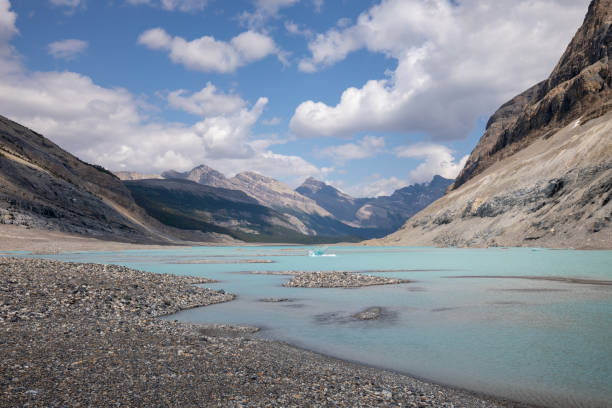 Saskatchewan Glacier Saskatchewan Glacier in Banff National Park in Canada saskatchewan glacier stock pictures, royalty-free photos & images