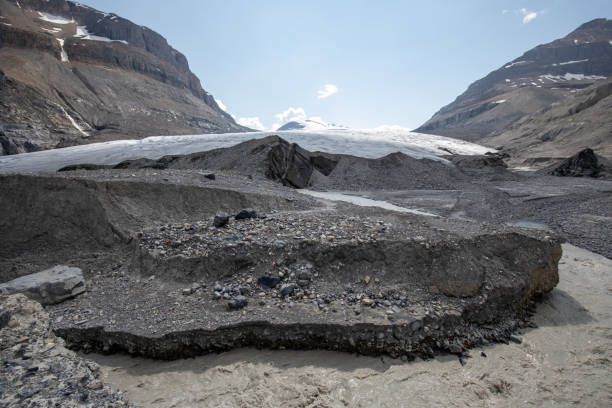 Saskatchewan Glacier Saskatchewan Glacier in Banff National Park in Canada saskatchewan glacier stock pictures, royalty-free photos & images