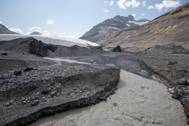 Saskatchewan Glacier Saskatchewan Glacier in Banff National Park in Canada saskatchewan glacier stock pictures, royalty-free photos & images