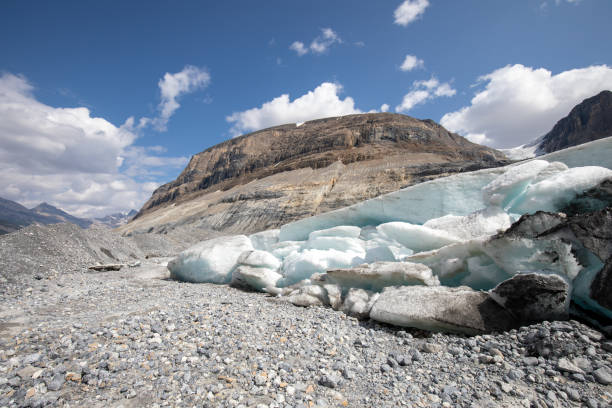 Saskatchewan Glacier Saskatchewan Glacier in Banff National Park in Canada saskatchewan glacier stock pictures, royalty-free photos & images