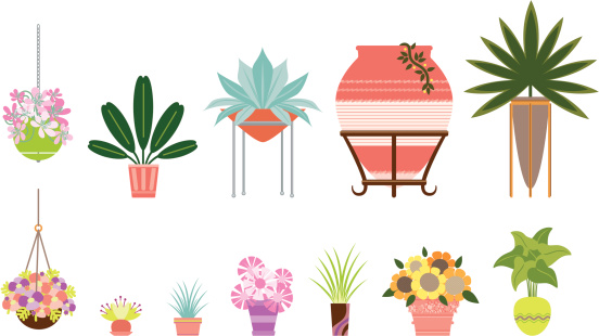 Spot illustrations of an assortment of garden containers with plants.