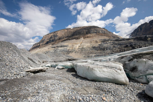 Saskatchewan Glacier Saskatchewan Glacier in Banff National Park in Canada saskatchewan glacier stock pictures, royalty-free photos & images