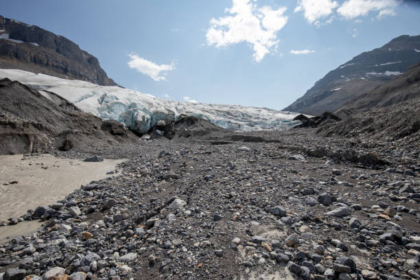 Saskatchewan Glacier Saskatchewan Glacier in Banff National Park in Canada saskatchewan glacier stock pictures, royalty-free photos & images