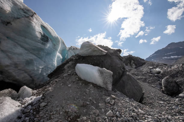 Saskatchewan Glacier Saskatchewan Glacier in Banff National Park in Canada saskatchewan glacier stock pictures, royalty-free photos & images