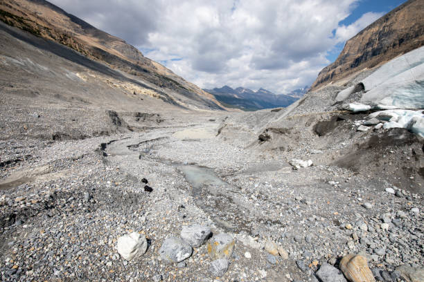 Saskatchewan Glacier Saskatchewan Glacier in Banff National Park in Canada saskatchewan glacier stock pictures, royalty-free photos & images