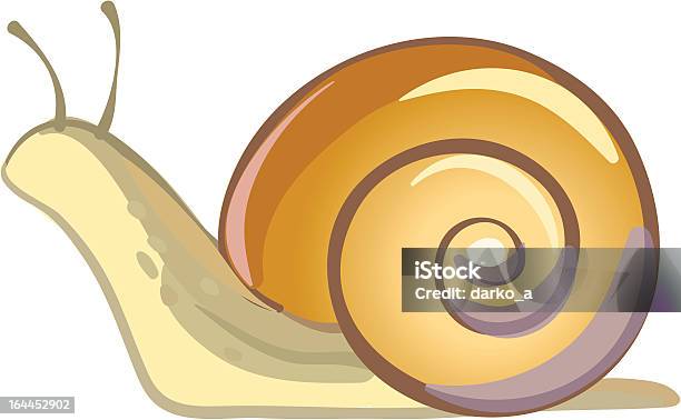 스네일 가든달팽이에 대한 스톡 벡터 아트 및 기타 이미지 - 가든달팽이, 눈자루, 느린 동작