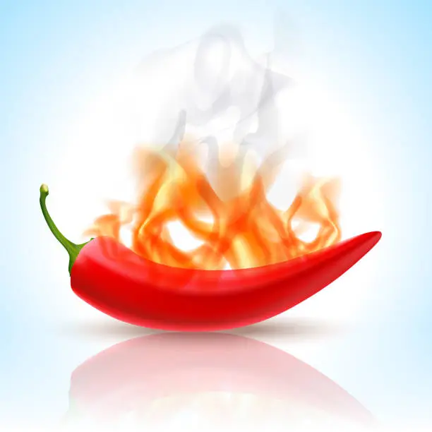 Vector illustration of Visual representation of the hot flavor or a chili pepper