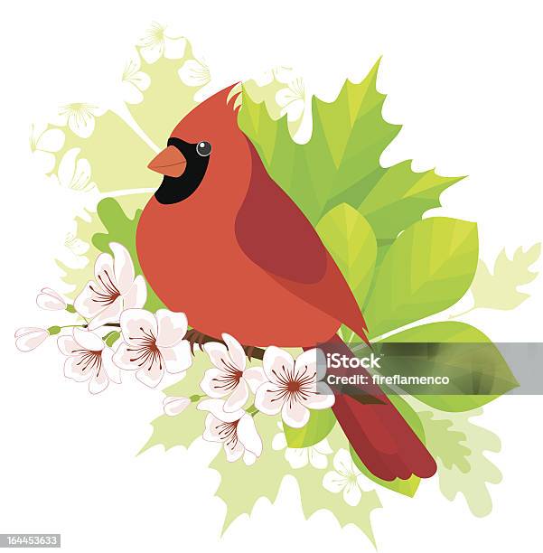 Ilustración de Resorte Cardinal y más Vectores Libres de Derechos de Pájaro cardenal - Pájaro cardenal, Ilustración, Pájaro