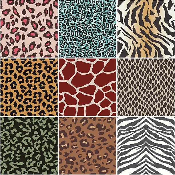 짐승 쥐젖 스와치 - zoo animal safari giraffe stock illustrations