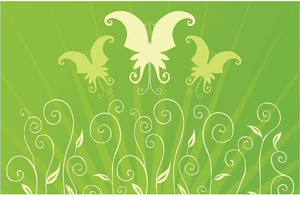 ilustraciones, imágenes clip art, dibujos animados e iconos de stock de paisaje de verano con butterflys sobre verde - daffodil flower silhouette butterfly