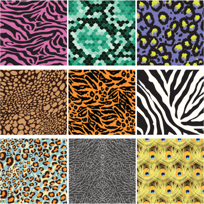 Animals Skin Pattern Stock Illustration - Download Image Now - Animal  Pattern, Leopard Print, Zebra Print - iStock