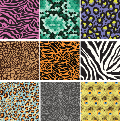 Animals Skin Pattern Stock Illustration - Download Image Now - Animal Pattern, Leopard Print, Zebra Print - iStock Animals Skin Pattern Stock Illustration - Download Image Now - Animal Pattern, Leopard Print, Zebra Print - iStock