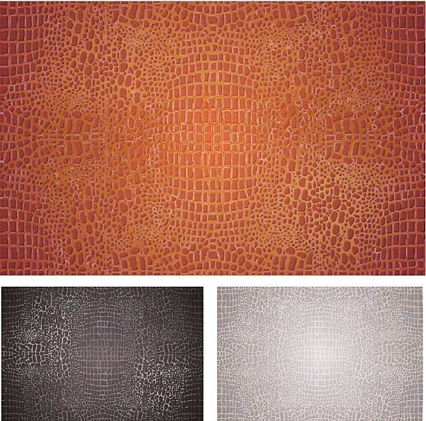 Crocodile Leather Textures Set vector art illustration