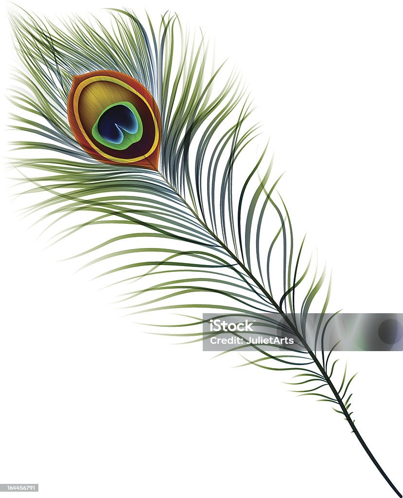 Peacock Feather Stock Illustration - Download Image Now - Peacock ...