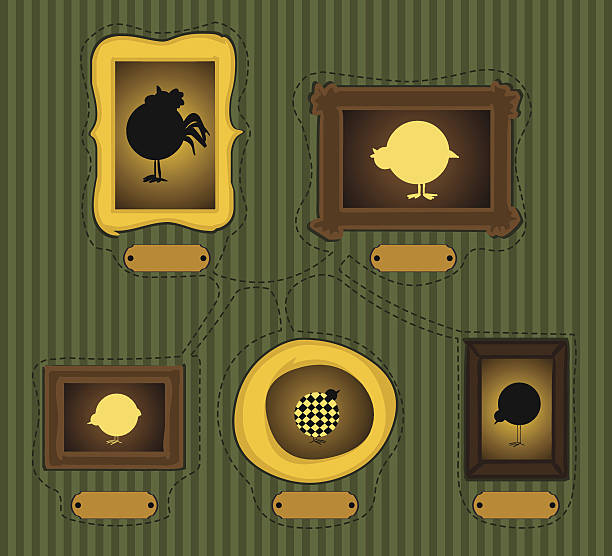 ilustrações de stock, clip art, desenhos animados e ícones de mão desenhada sem mendelian herança - hen silhouette animal egg picture frame