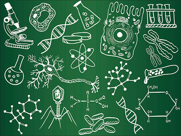 ilustrações, clipart, desenhos animados e ícones de esboços na escola de biologia - dna science high scale magnification magnification