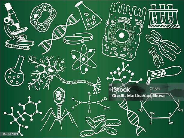 Esboços De Biologia Na Escola De - Arte vetorial de stock e mais imagens de Célula - Célula, Célula vegetal, Pessoas