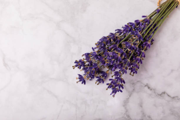 istock Bouquet of fragrant lavender on a background. Top view. Place for text. Copy space. 1644573007