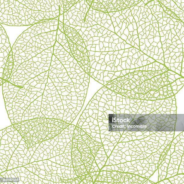 신선한 녹색 잎 배경벡터 일러스트레이션 0명에 대한 스톡 벡터 아트 및 기타 이미지 - 0명, 나무, 나뭇가지