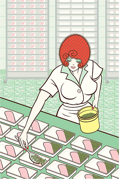 работник столовой - women meat working tray stock illustrations