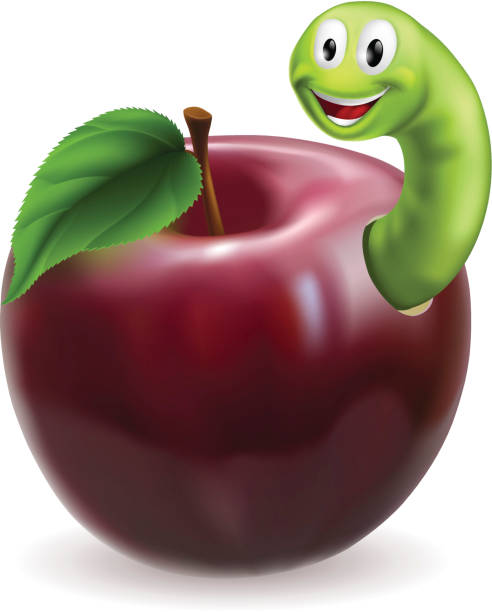Cute caterpillar apple Illustration of a cute happy green caterpillar or worm coming out of a juicy red apple. Vector file is eps 10 and uses transparency blends and gradient mesh caterpillar eating apple stock illustrations