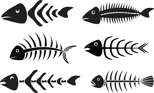 Various fishbones stencils vector art illustration
