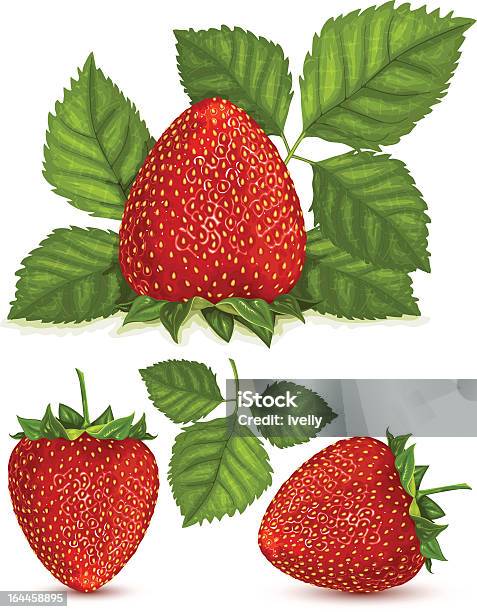 Strawberries With Leaves Stock Illustration - Download Image Now - Beauty In Nature, Berry Fruit, Dessert - Sweet Food