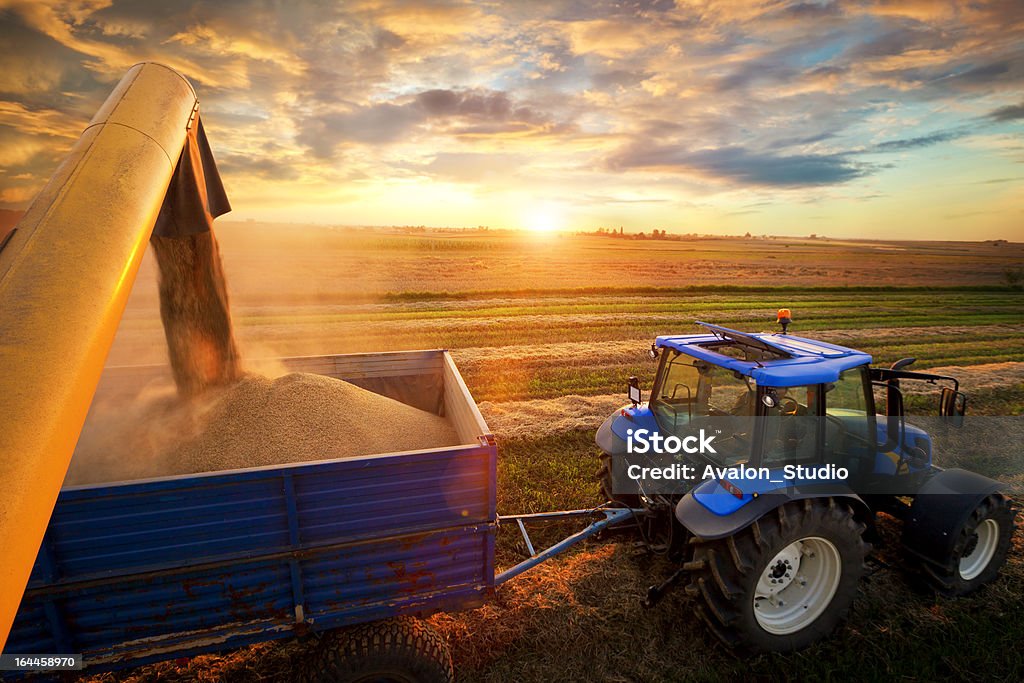 Restaurant Harvest - Photo de Agriculture libre de droits