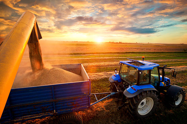 Harvest Combine Harvester and tractor harvesting stock pictures, royalty-free photos & images
