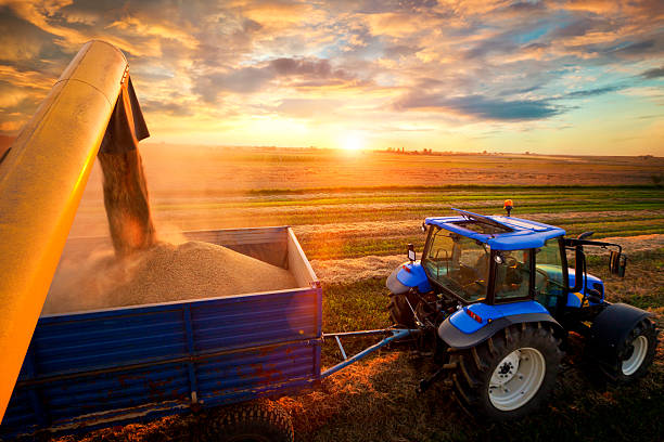 Harvest Combine Harvester and tractor agricultural equipment stock pictures, royalty-free photos & images