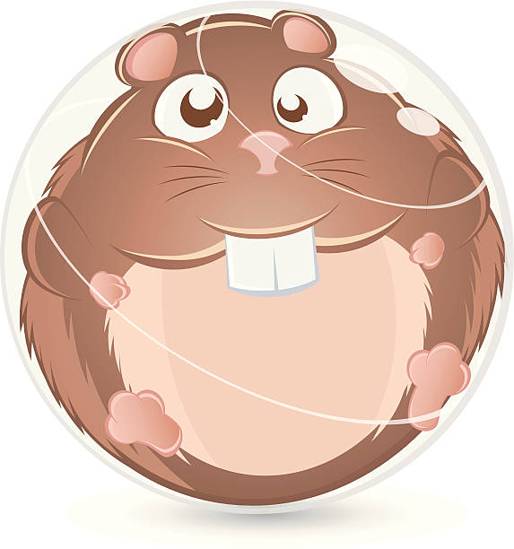 170+ Hamster Ball Stock Illustrations, Royalty-Free Vector Graphics