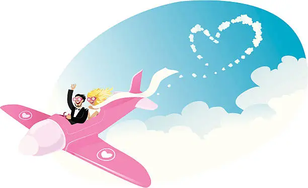 Vector illustration of Newlyweds on airplane