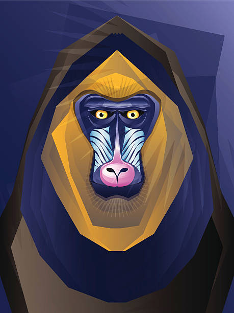 Mandril Vector 840+ Mandrill Stock Illustrations, Royalty-Free Vector Graphics & Clip ...