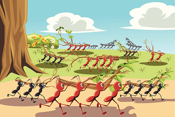 Working ants "A vector illustration of a colony of ants working together, can be used for teamwork concept" ants teamwork stock illustrations