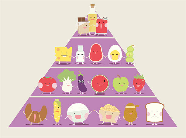 ilustraciones, imágenes clip art, dibujos animados e iconos de stock de linda pirámide de comida - food pyramid food healthy eating spaghetti