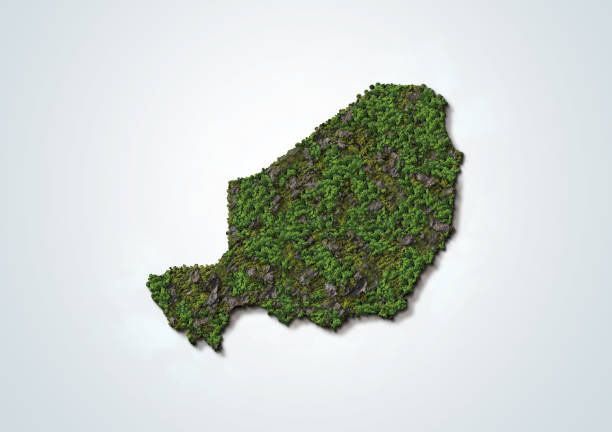 Niger 3D green Map Soil Land Geology With Green forest Niger 3D green Map Soil Land Geology With Green forest And Rock, 3d illustration niger state stock pictures, royalty-free photos & images