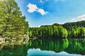 Beautiful lake and green fir woodland in Adrspach-Teplice Rock Town, Czech Republic. Blue lake and pine forest