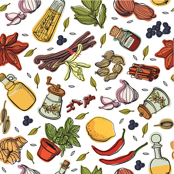 illustrations, cliparts, dessins animés et icônes de motif épices cuisine - cardamom condiment spice asian cuisine