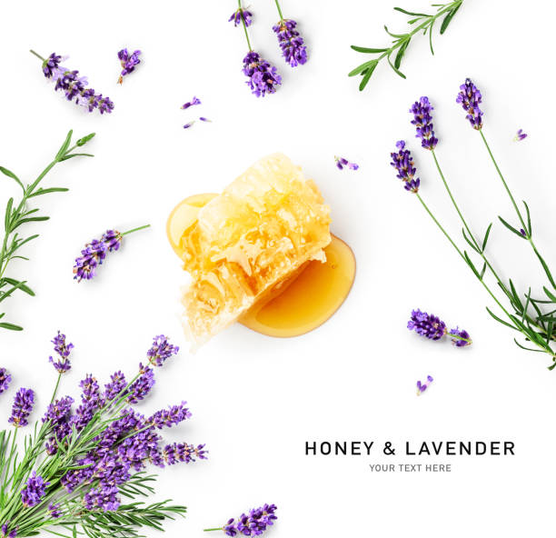 istock Honey drop, honeycomb and lavender flowers isolated on white background 1644653601